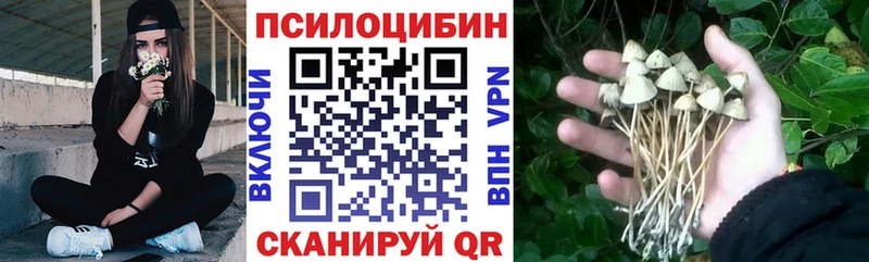 Псилоцибиновые грибы Psilocybine cubensis Чишмы